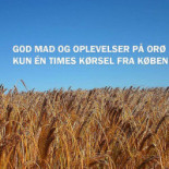 Liv Og Mad Udenfor