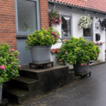 Tuse Naes Pizza Udenfor
