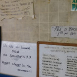 Domestic Menu