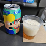 Scandinavian Airlines Flight Sk 659 Drik