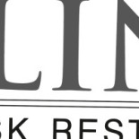 Salino Logo