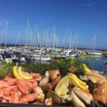 Læsø Marina Park Udenfor