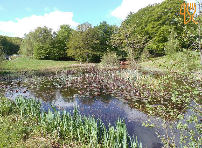 Tolne Skovpavillon Udenfor