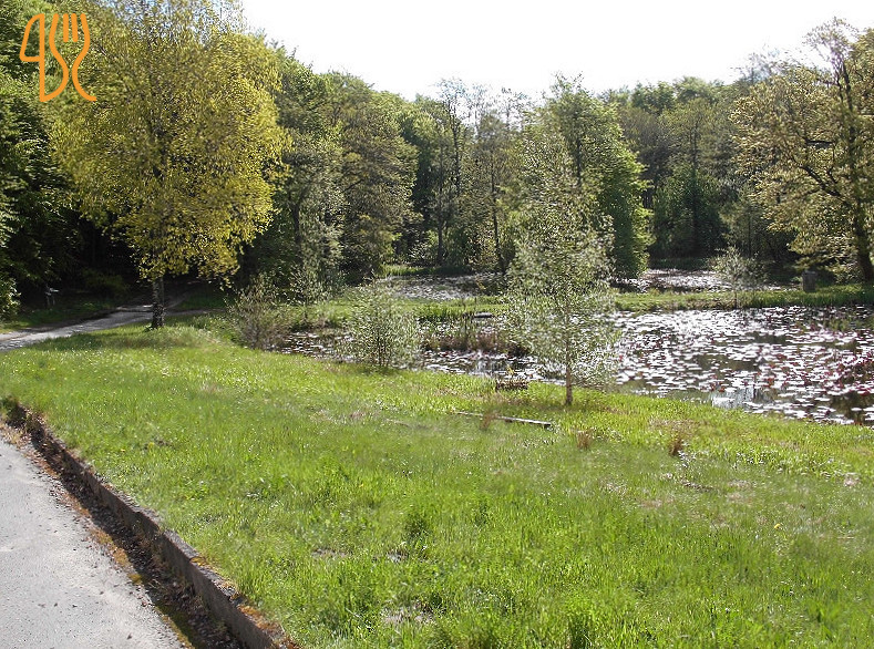 Tolne Skovpavillon Udenfor
