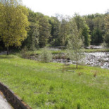 Tolne Skovpavillon Udenfor