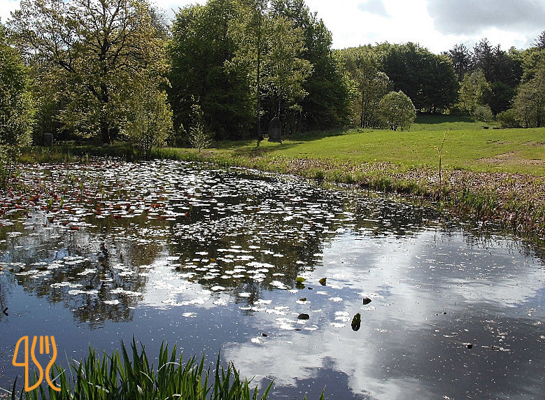 Tolne Skovpavillon Udenfor