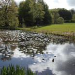 Tolne Skovpavillon Udenfor