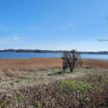Frederiksminde Udenfor