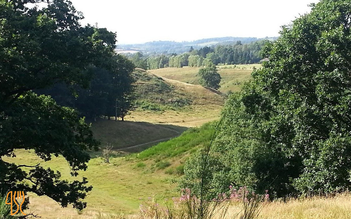 Skovlyst Udenfor