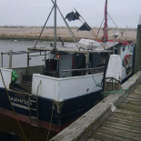 Fish And Moore Udenfor