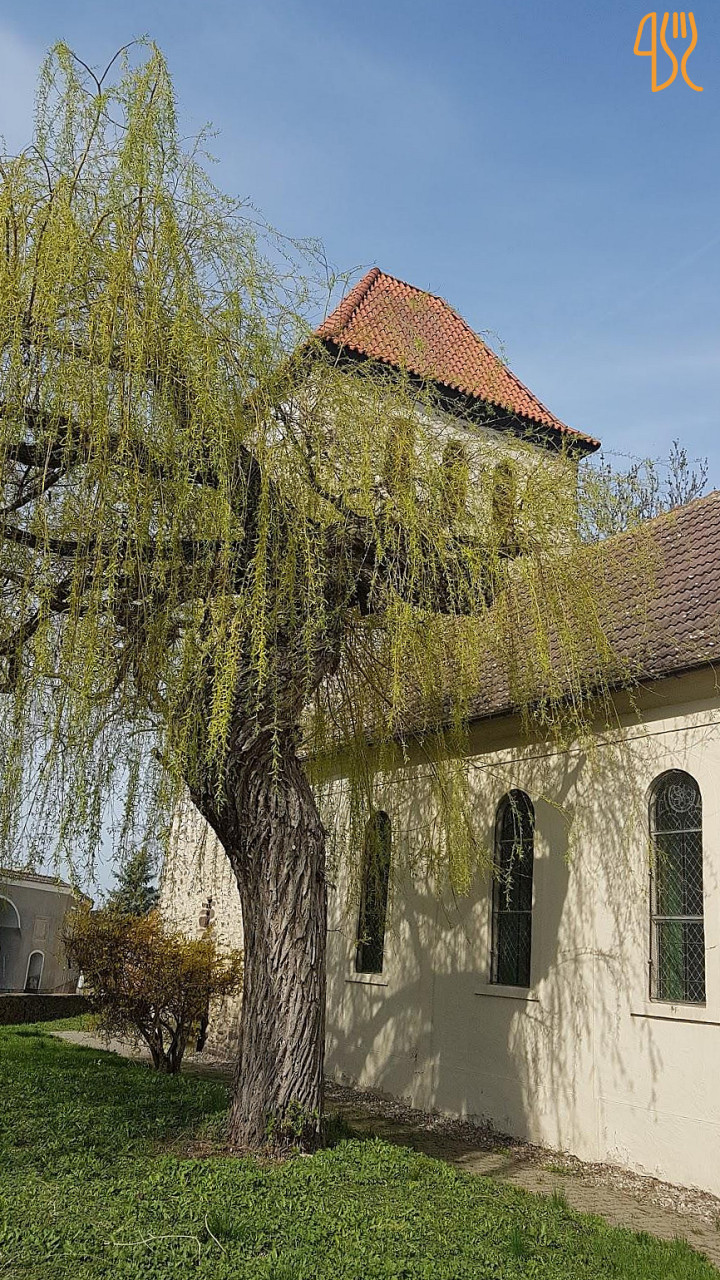 Haslev Grill Pizzaria Udenfor