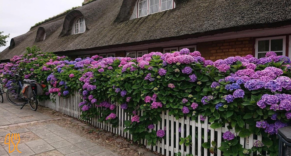 Haven Fanø Udenfor