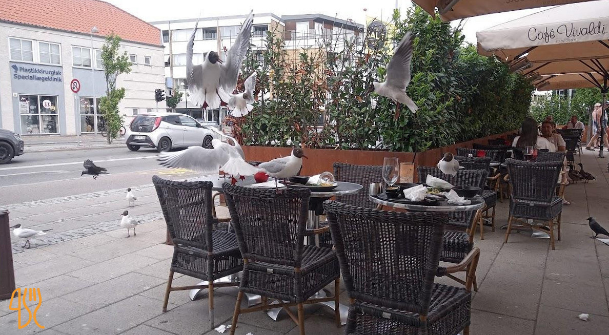 Cafe Vivaldi Udenfor