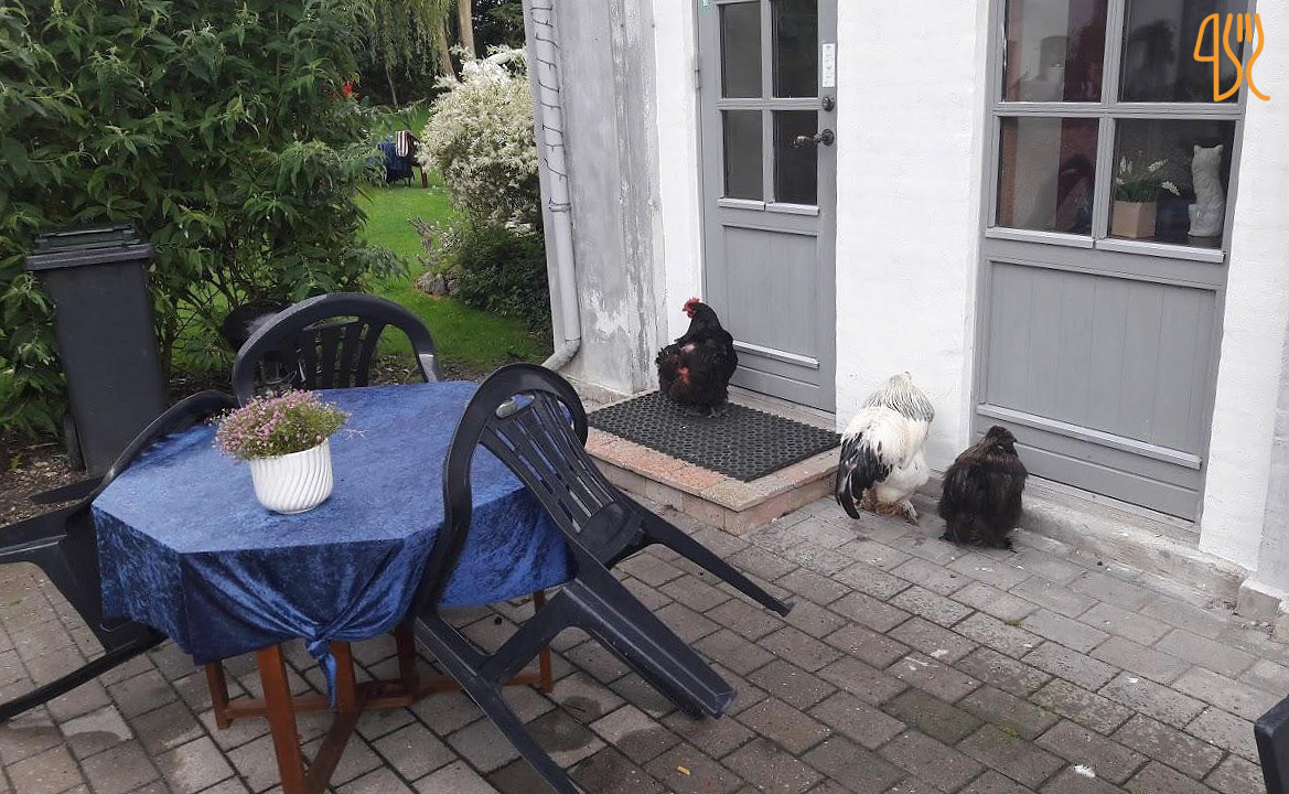 Skelstrupgaard Bed Breakfast Udenfor
