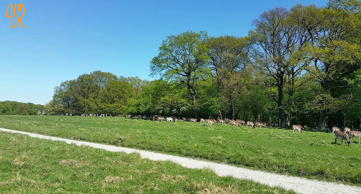 Cæsars Palads Udenfor