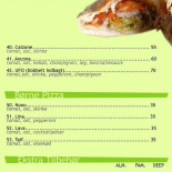 Ipizza Menu