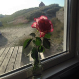 Havnekiosken Drik