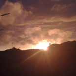 Havnekiosken Drik
