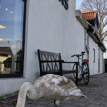 Antons – Spis Broed Til Udenfor