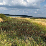 Kulhuse Kro Udenfor
