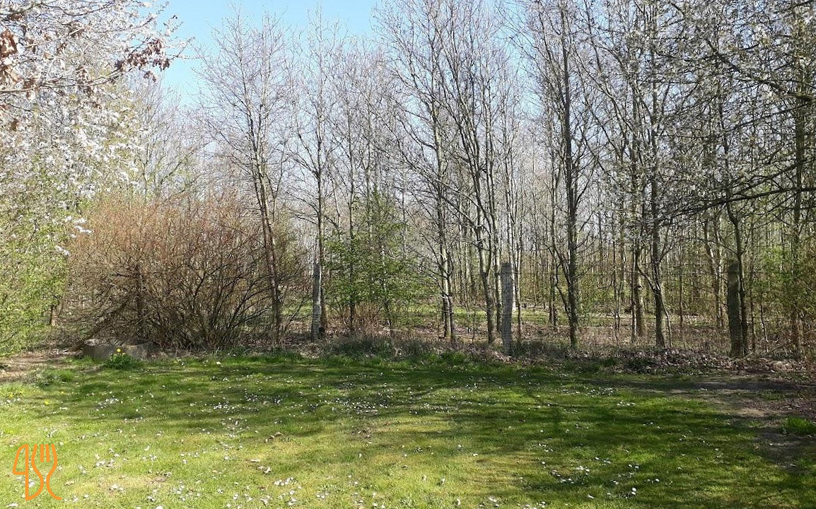 Info-teria Blankhoej Aps Udenfor