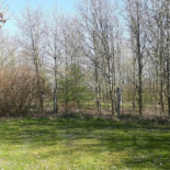 Info-teria Blankhoej Aps Udenfor