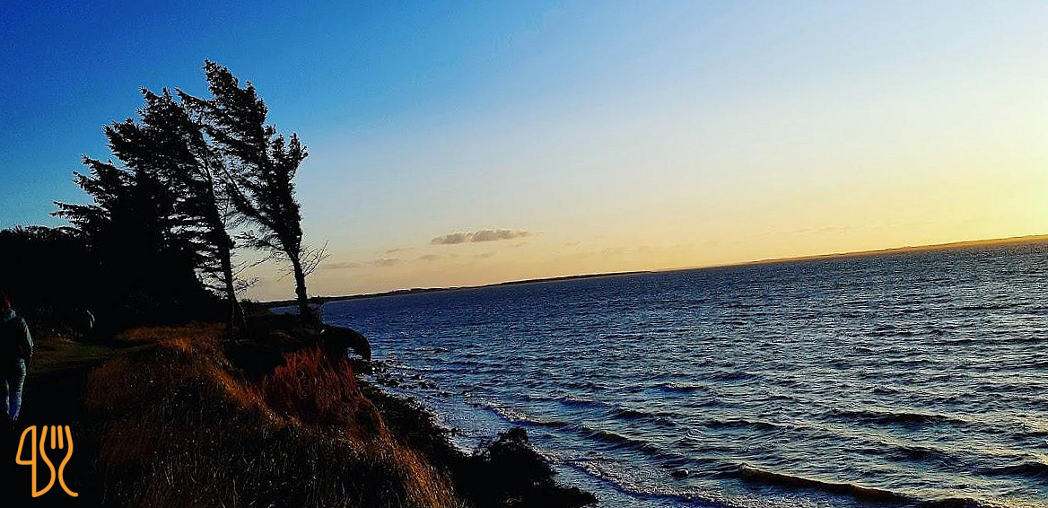 Pavillonen Knud Strand Udenfor