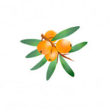 Stenbjerg Kro Logo