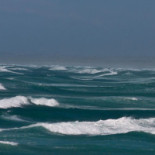 Cold Hawaii Drik