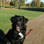 Helsingoer Golf Club Udenfor
