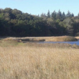 Munkholmbroen Udenfor