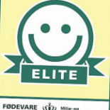 Bellini Logo