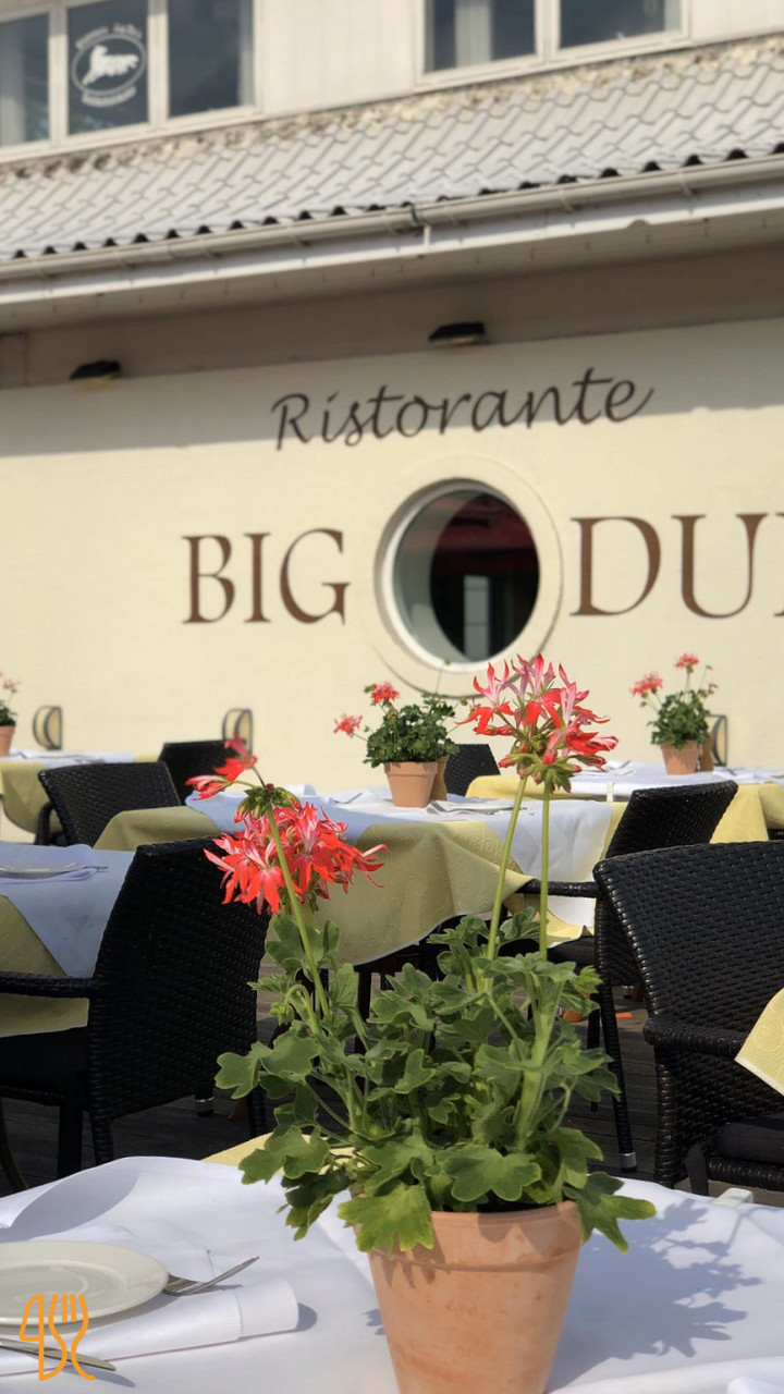 Big Due Udenfor