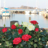 Café Snaptun Udenfor