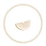 Dollys Logo