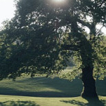 Rungsted Golfklub Udenfor