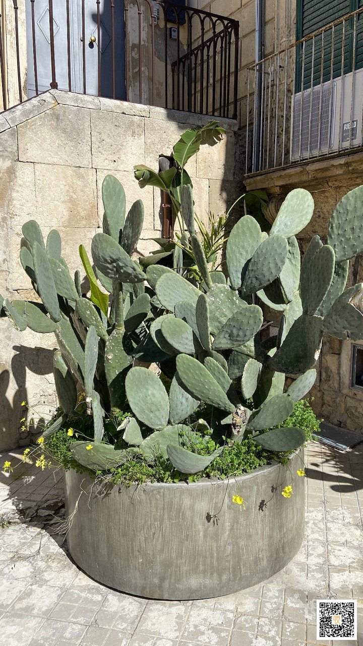 Oliva Udenfor