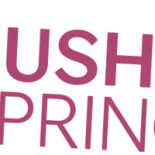 Sushi Springtime Logo
