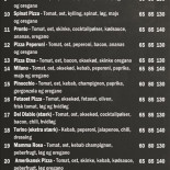 Vinderup Pizza Grill Menu