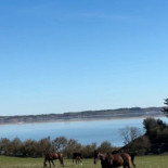 Grand Struer Udenfor