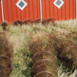 Harboøre Udenfor