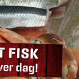 Fiskehallen Mad