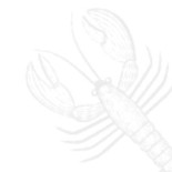 Viking Sushi Logo