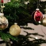 Fredensborg Store Kro Drik