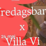 Villa Vi Logo