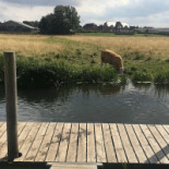 Kongeaakroen Udenfor