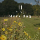 Fjelsted Skov Kro Udenfor