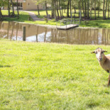 Fjelsted Skov Kro Udenfor