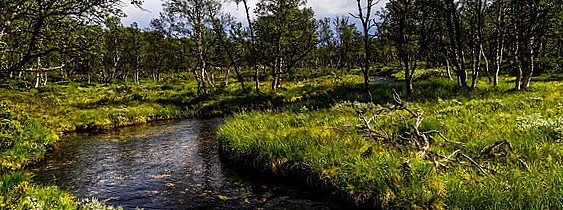 Skovpavillonen Udenfor