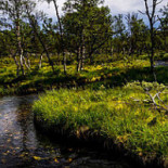 Skovpavillonen Udenfor